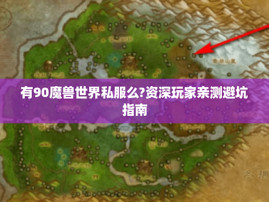 有90魔兽世界私服么?资深玩家亲测避坑指南