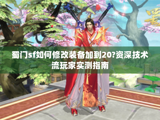 蜀门sf如何修改装备加到20?资深技术流玩家实测指南 蜀门sf如何修改装备加到20?资深技术流玩家实测指南