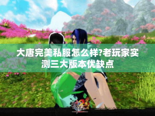 大唐完美私服怎么样?老玩家实测三大版本优缺点
