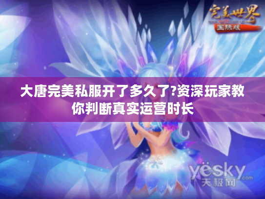 大唐完美私服开了多久了?资深玩家教你判断真实运营时长