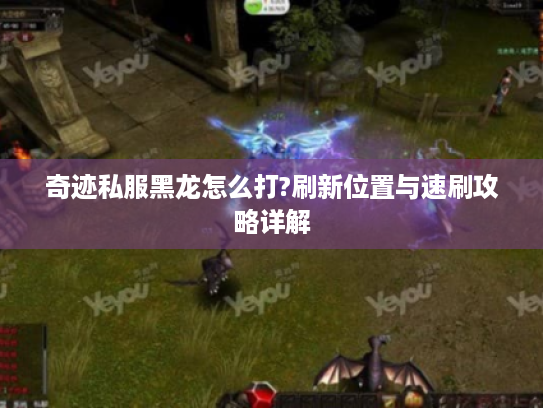 奇迹私服黑龙怎么打?刷新位置与速刷攻略详解