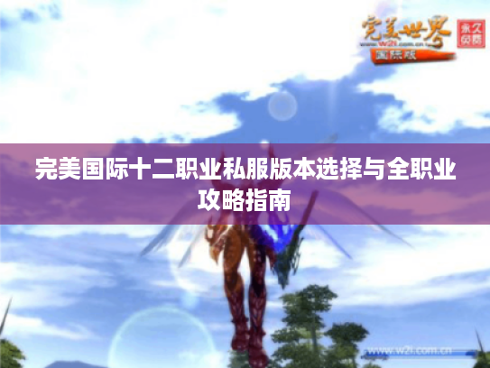 完美国际十二职业私服版本选择与全职业攻略指南