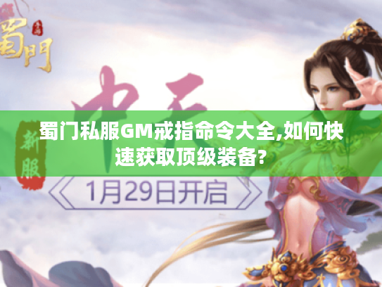 蜀门私服GM戒指命令大全,如何快速获取顶级装备?