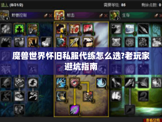 魔兽世界怀旧私服代练怎么选?老玩家避坑指南