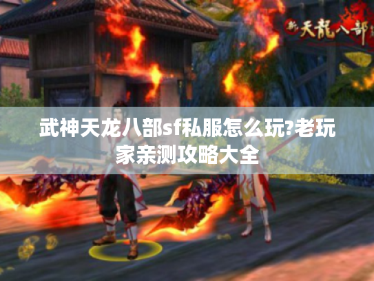 武神天龙八部sf私服怎么玩?老玩家亲测攻略大全