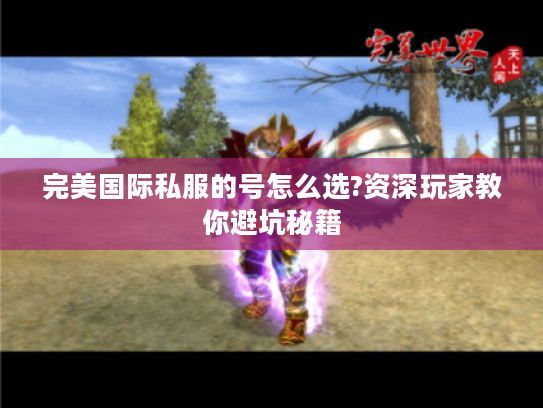 完美国际私服的号怎么选?资深玩家教你避坑秘籍