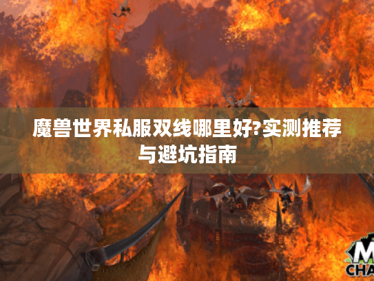 魔兽世界私服双线哪里好?实测推荐与避坑指南