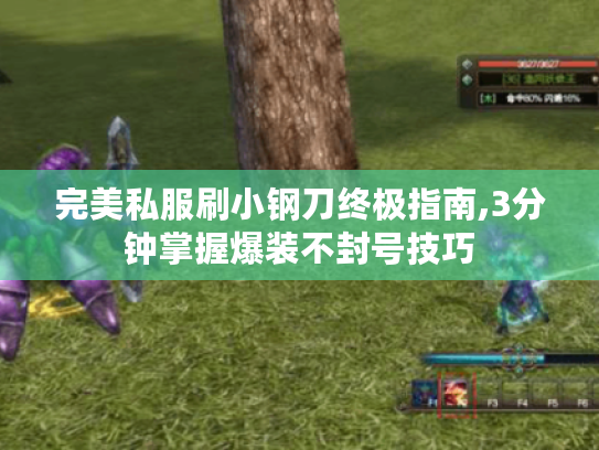 完美私服刷小钢刀终极指南,3分钟掌握爆装不封号技巧