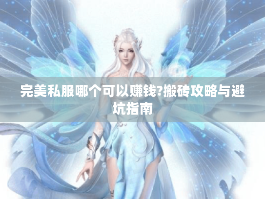 完美私服哪个可以赚钱?搬砖攻略与避坑指南