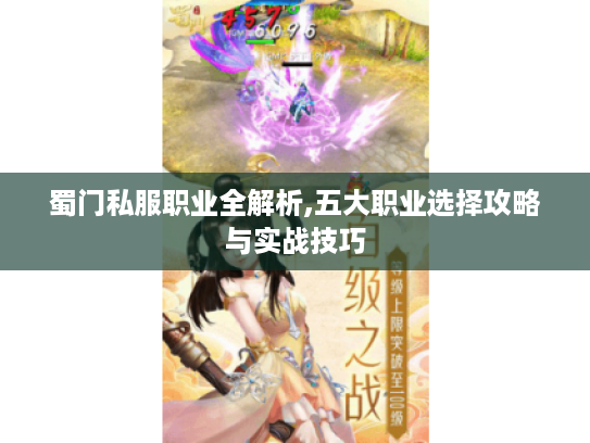 蜀门私服职业全解析,五大职业选择攻略与实战技巧