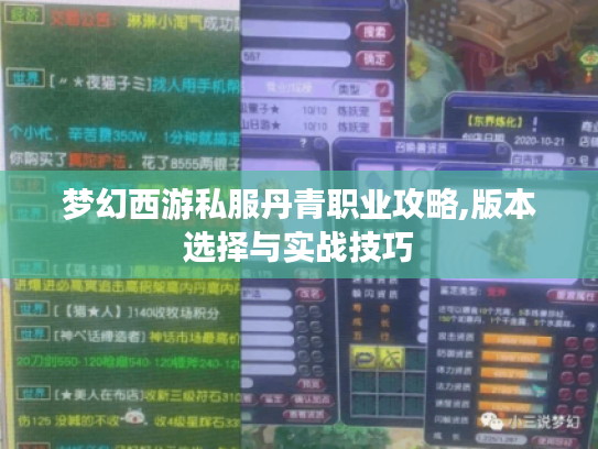 梦幻西游私服丹青职业攻略,版本选择与实战技巧