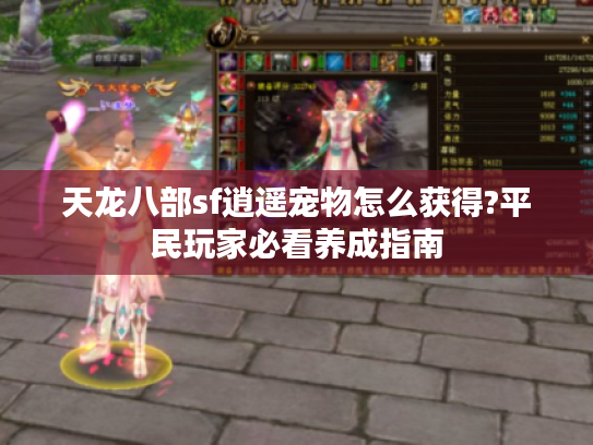 天龙八部sf逍遥宠物怎么获得?平民玩家必看养成指南