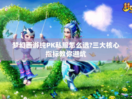 梦幻西游纯PK私服怎么选?三大核心指标教你避坑
