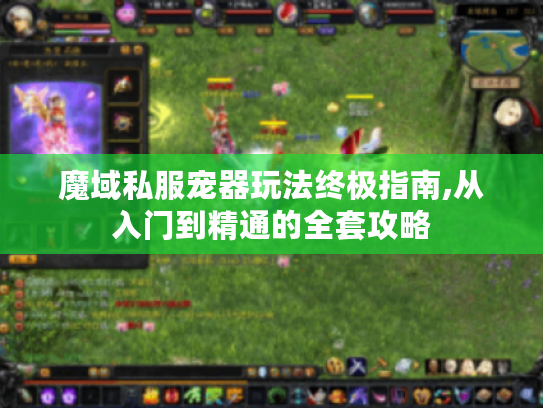 魔域私服宠器玩法终极指南,从入门到精通的全套攻略