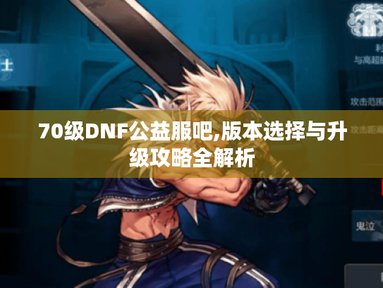 70级DNF公益服吧,版本选择与升级攻略全解析 70级DNF公益服吧,版本选择与升级攻略全解析