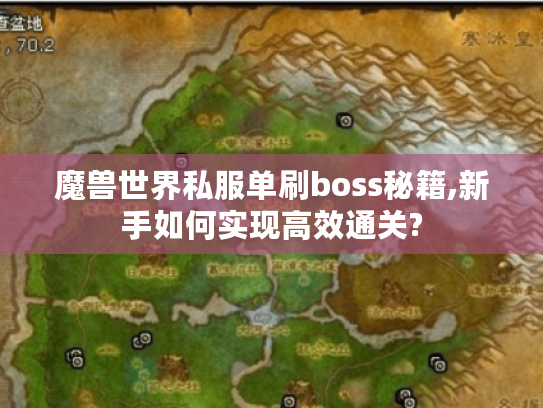 魔兽世界私服单刷boss秘籍,新手如何实现高效通关?