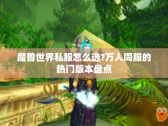 魔兽世界私服怎么选?万人同服的热门版本盘点