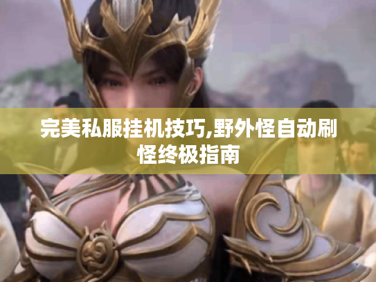 完美私服挂机技巧,野外怪自动刷怪终极指南