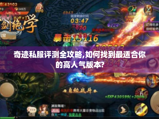 奇迹私服评测全攻略,如何找到最适合你的高人气版本?