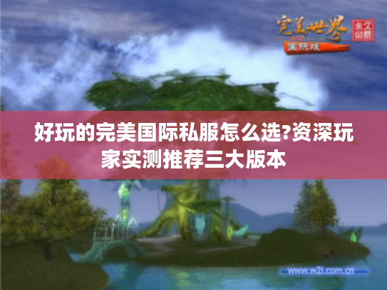 好玩的完美国际私服怎么选?资深玩家实测推荐三大版本