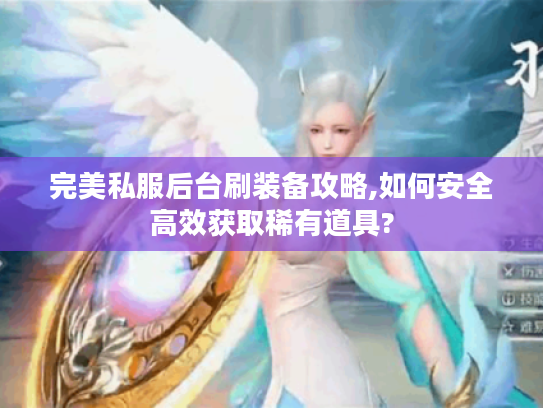 完美私服后台刷装备攻略,如何安全高效获取稀有道具?