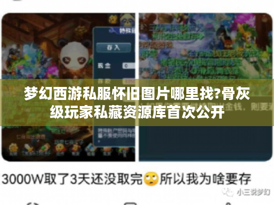梦幻西游私服怀旧图片哪里找?骨灰级玩家私藏资源库首次公开