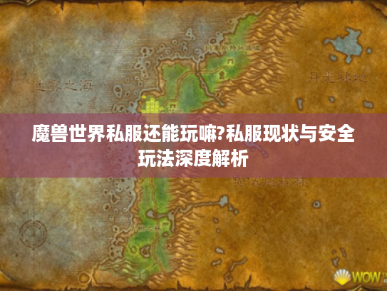 魔兽世界私服还能玩嘛?私服现状与安全玩法深度解析