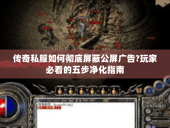 传奇私服如何彻底屏蔽公屏广告?玩家必看的五步净化指南