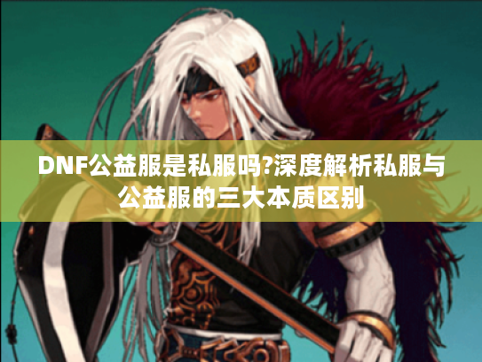 DNF公益服是私服吗?深度解析私服与公益服的三大本质区别