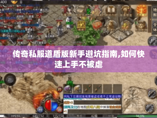 传奇私服道盾版新手避坑指南,如何快速上手不被虐