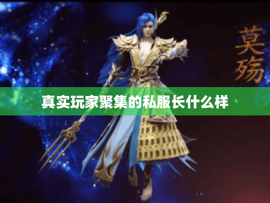 真实玩家聚集的私服长什么样