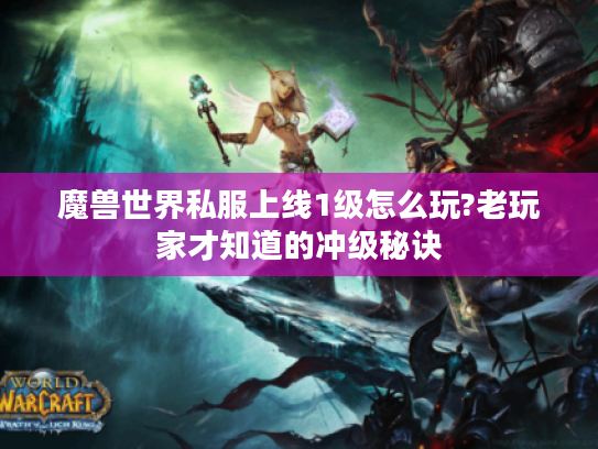魔兽世界私服上线1级怎么玩?老玩家才知道的冲级秘诀