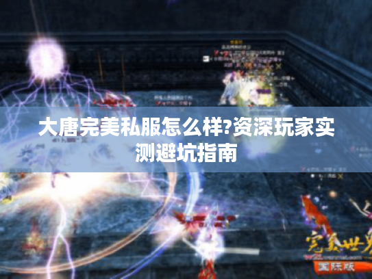 大唐完美私服怎么样?资深玩家实测避坑指南 大唐完美私服怎么样?资深玩家实测避坑指南