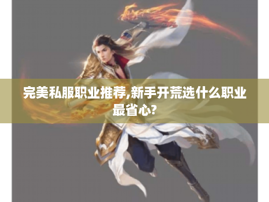 完美私服职业推荐,新手开荒选什么职业最省心?