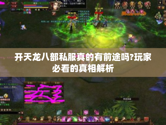 开天龙八部私服真的有前途吗?玩家必看的真相解析