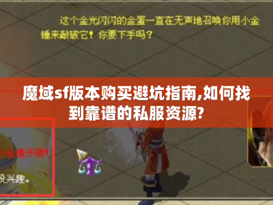 魔域sf版本购买避坑指南,如何找到靠谱的私服资源?