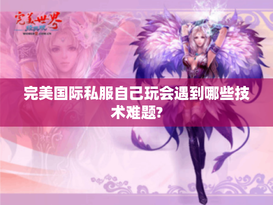 完美国际私服自己玩会遇到哪些技术难题?