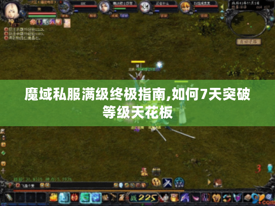 魔域私服满级终极指南,如何7天突破等级天花板