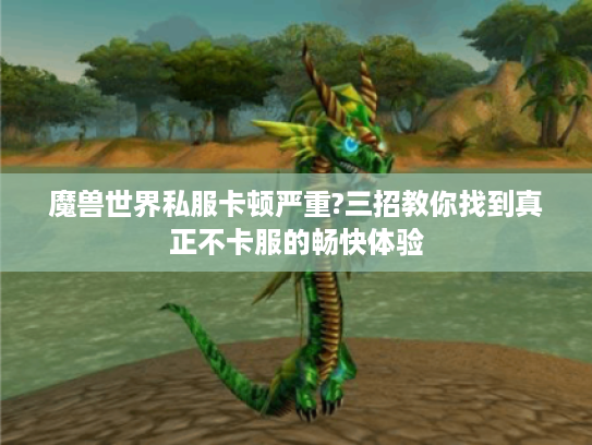 魔兽世界私服卡顿严重?三招教你找到真正不卡服的畅快体验