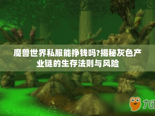 魔兽世界私服能挣钱吗?揭秘灰色产业链的生存法则与风险