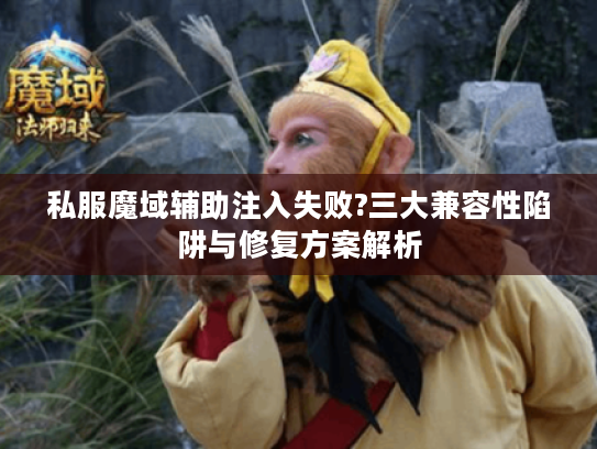 私服魔域辅助注入失败?三大兼容性陷阱与修复方案解析