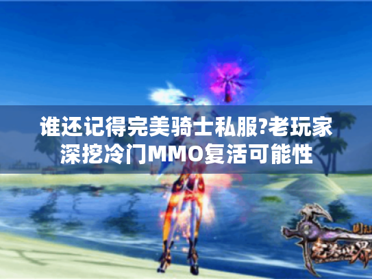 谁还记得完美骑士私服?老玩家深挖冷门MMO复活可能性