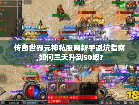 传奇世界元神私服网新手避坑指南,如何三天升到50级?