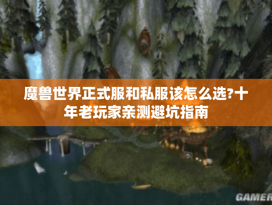 魔兽世界正式服和私服该怎么选?十年老玩家亲测避坑指南