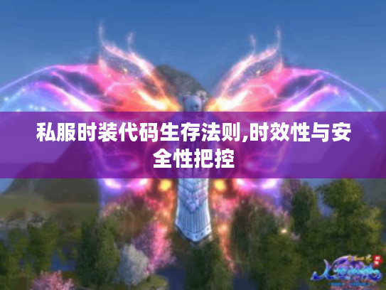 私服时装代码生存法则,时效性与安全性把控 私服时装代码生存法则,时效性与安全性把控