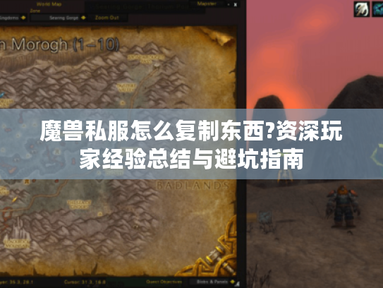 魔兽私服怎么复制东西?资深玩家经验总结与避坑指南