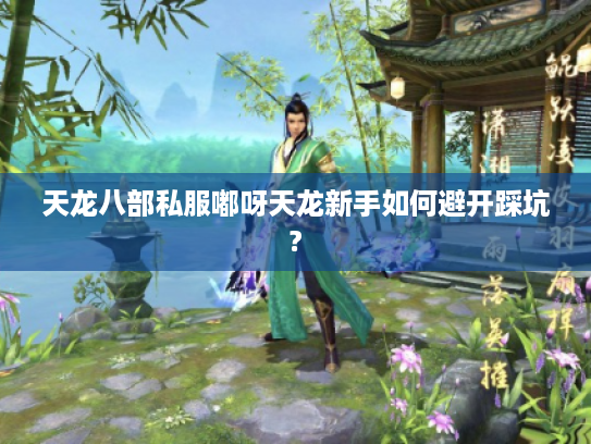 天龙八部私服嘟呀天龙新手如何避开踩坑?