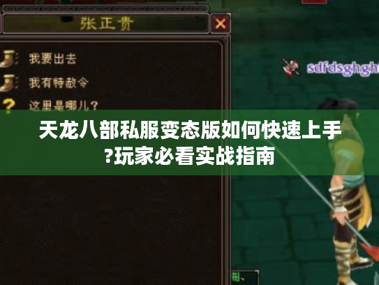 天龙八部私服变态版如何快速上手?玩家必看实战指南 天龙八部私服变态版如何快速上手?玩家必看实战指南