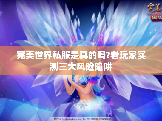 完美世界私服是真的吗?老玩家实测三大风险陷阱