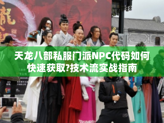 天龙八部私服门派NPC代码如何快速获取?技术流实战指南